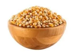 بوشار